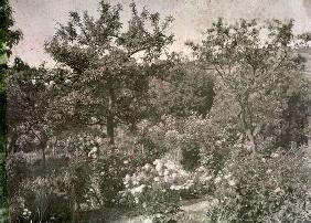 View of Giverny, Monet's Garden, early 1920s (photo)