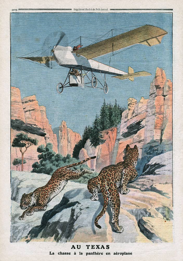 Hunting panthers from an airplane in Texas, illustration from ''Le Petit Journal'', supplement illus od French School