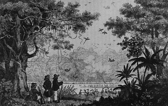 Bird Hunting, from ''Bresil, Columbie et Guyanes'' Ferdinand Denis and Cesar Famin od French School