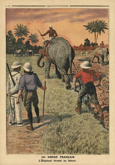 In French Congo, elephant trained to ploughing, illustration from ''Le Petit Journal'', supplement i od French School
