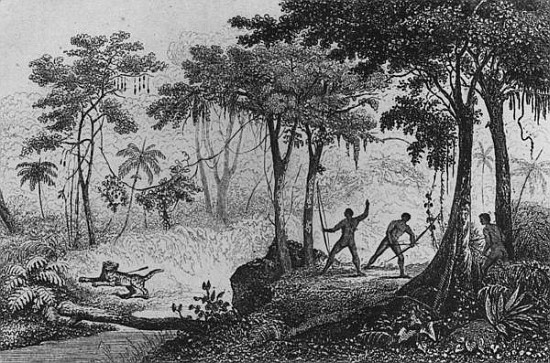 Jaguar Hunt, from ''Bresil, Columbie et Guyanes'' Ferdinand Denis and Cesar Famin 1837 (engraving) od French School