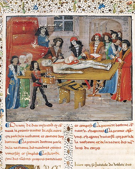 Ms H 184 fol.14v Dissection lesson at the Faculty of Medicine in Montpellier, from ''La Grande Chiru od French School