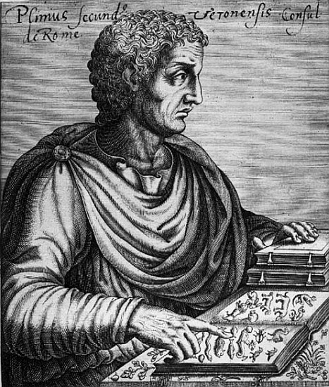 Pliny the Elder (23-79 AD) od French School