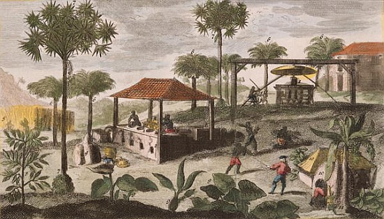 Sugar Refinery, illustration from ''Histoire des Antilles'' Jean Baptiste Labat (1663-1738) (see als od French School