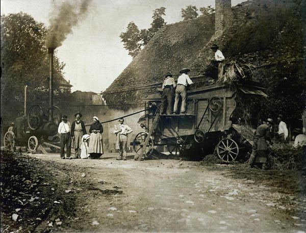 Threshing scene, late 19th century (b/w photo)  od French School