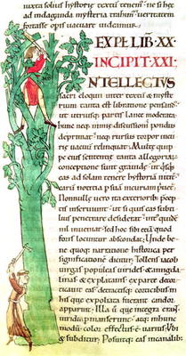 Ms 173 f.41 Historiated inital 'I' depicting a monk and a lay chopping and pruning a tree, from Mora od French School, (12th century)