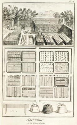 A vegetable garden, from 'The Encyclopedia of Science, Art and Engineering' by Denis Diderot (1713-8 od French School, (18th century)