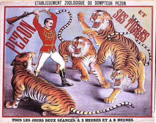 Poster advertising 'Adrien Pezon and his Tigers', c.1897 (colour litho) od French School, (19th century)