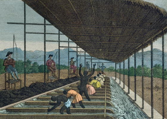 Slaves washing 'cascalho' as part of the diamond mining process in Brazil, 1811 (coloured engraving) od French School, (19th century)