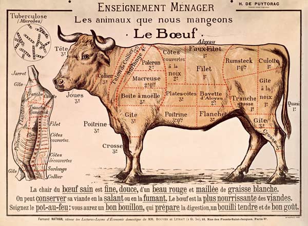 Beef: diagram depicting the different cuts of meat (colour litho) od French School, (20th century)