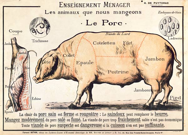 &#344;ezy vep&#345;ového, ilustrace z francouzký domácí v&#283;decký náuky od H. de Puytorac, vydal  od French School, (20th century)