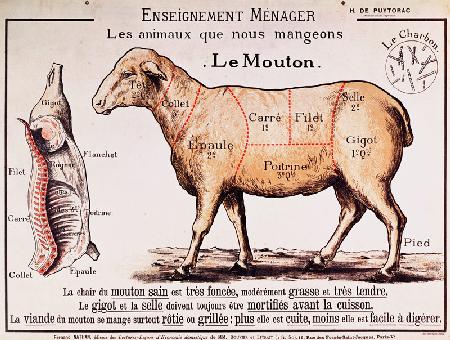 Mutton: diagram depicting the different cuts of meat (colour litho)
