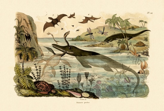 Prehistoric animals od French School, (19th century)