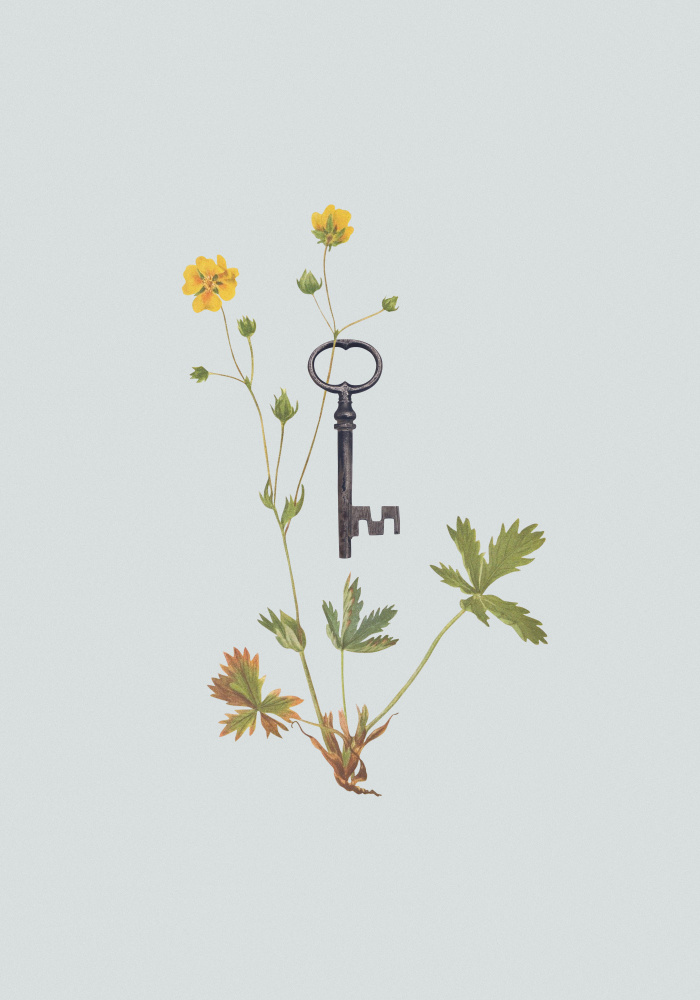 Botanical vintage key od Frida Floral Studio