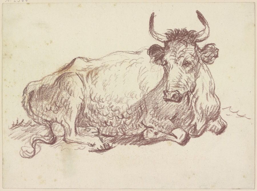 Lying cow od Friedrich Wilhelm Hirt