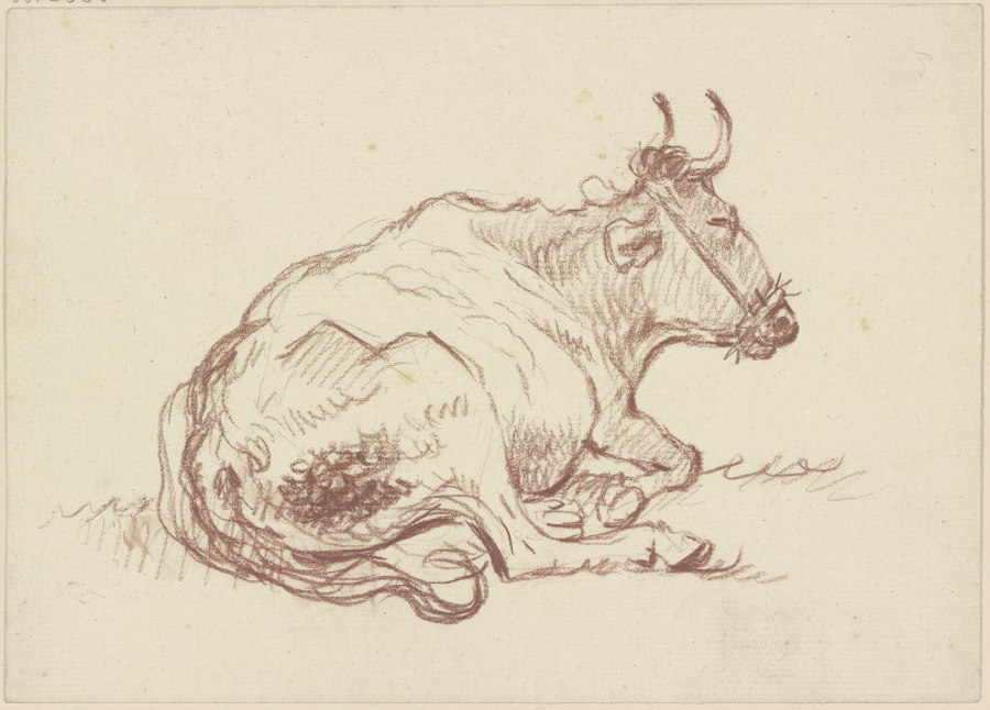 Liegende Kuh nach rechts od Friedrich Wilhelm Hirt