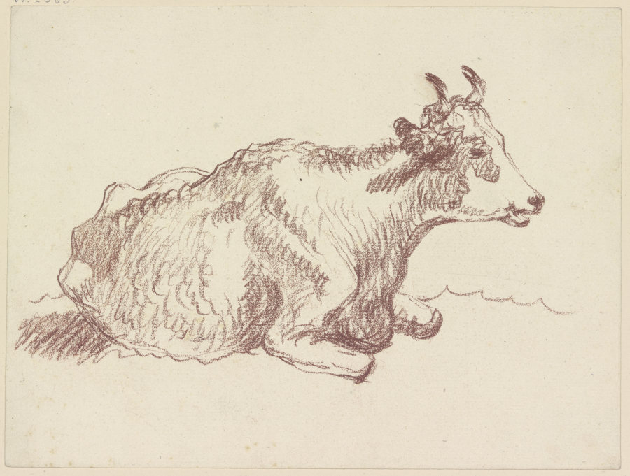 Lying cow od Friedrich Wilhelm Hirt