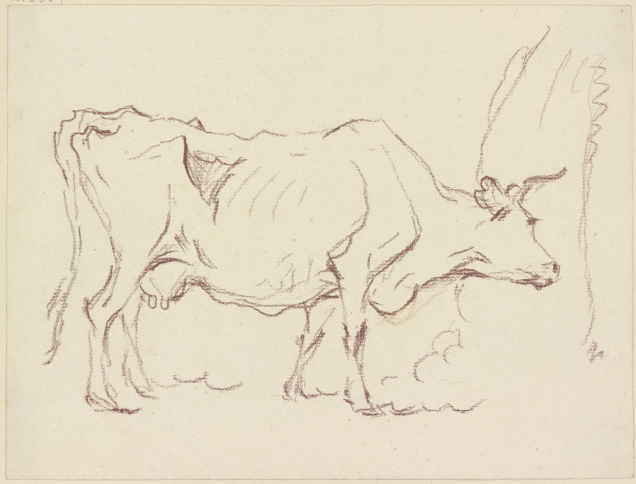 Magere stehende Kuh nach rechts, sich an einem Baumstamm schubbernd od Friedrich Wilhelm Hirt