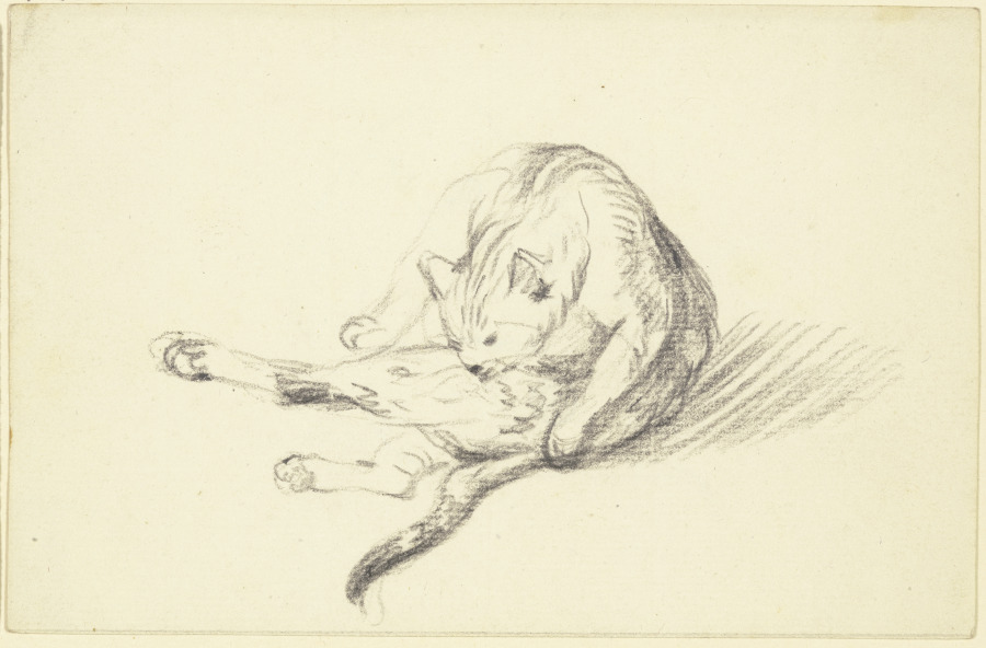 Grooming cat od Friedrich Wilhelm Hirt