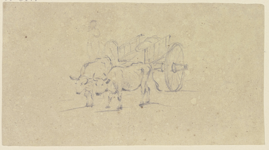 Zwei Ochsen ziehen einen Karren, von vorne gesehen od Friedrich Wilhelm Hirt