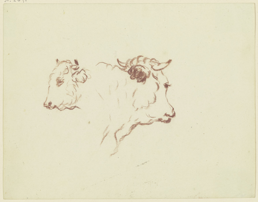 Two cattle heads od Friedrich Wilhelm Hirt