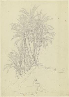 Terrasse und Palmen in Philae