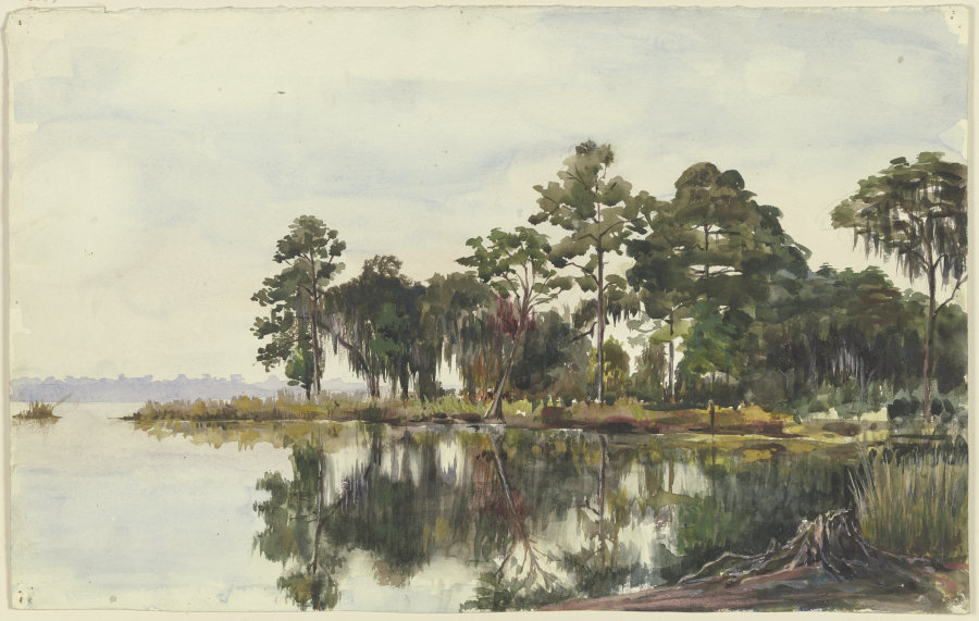 Baumschlag am Wasser, Jacksonville od Fritz Hauck