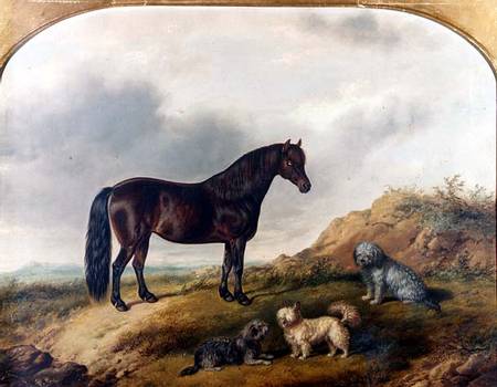 A Pony and three Terriers in a landscape od G. Jackson