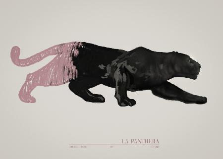 La Panthera (pink)