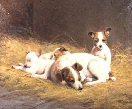 A Terrier with Three Puppies od Gabrielle Rainer-Istuanty