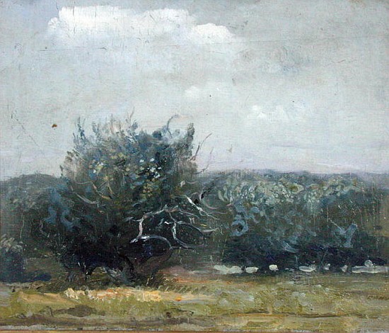 Apple Tree Field (oil on canvas)  od Gail  Schulman