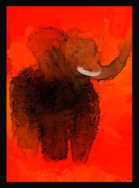 Fun Elephant 4 od David Ganssi