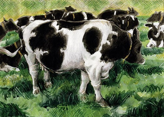 Friesian Cows (w/c)  od Gareth Lloyd  Ball