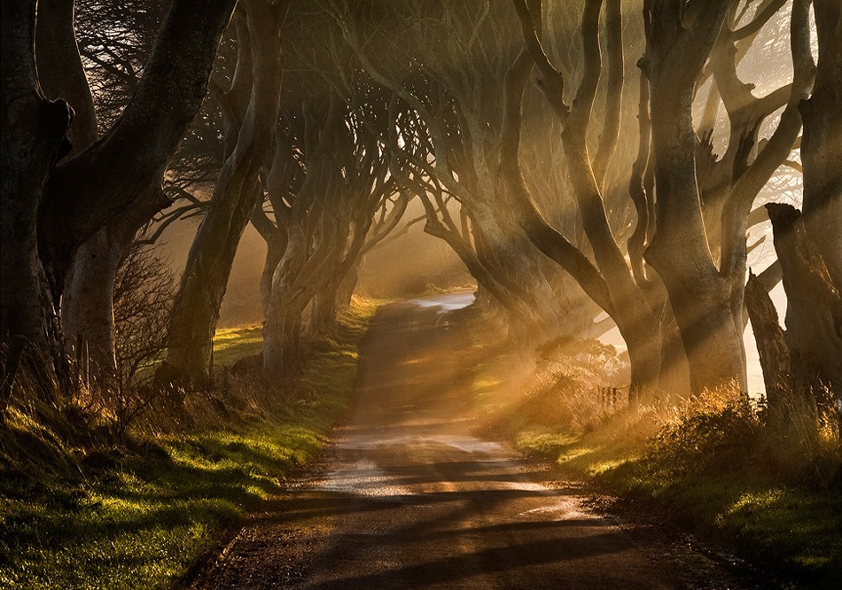 The Road Goes Ever On &amp; On od Gary McParland