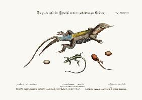 The Great Spotted Lizard with a forked Tail