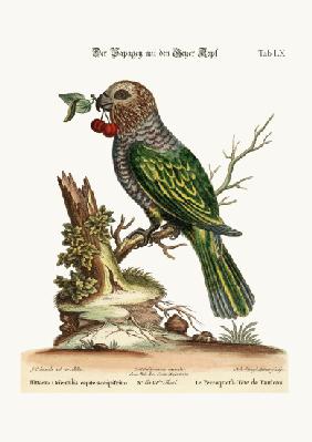 The Hawk-Headed Parrot