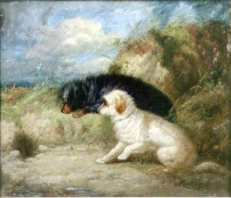 Terriers by a Rabbit Hole od George Armfield