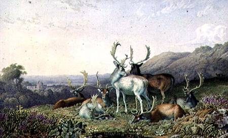 Deer in a Landscape od George Barret