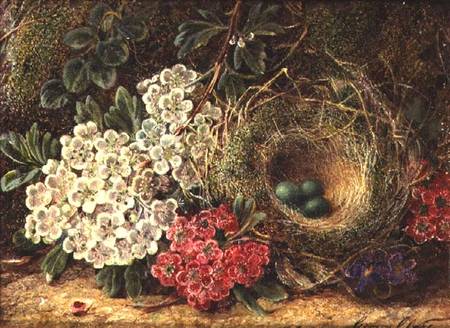 Still life with bird's nest od George Clare