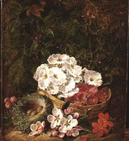 Still life of bird's nest, primulas in a basket and apple blossom od George Clare