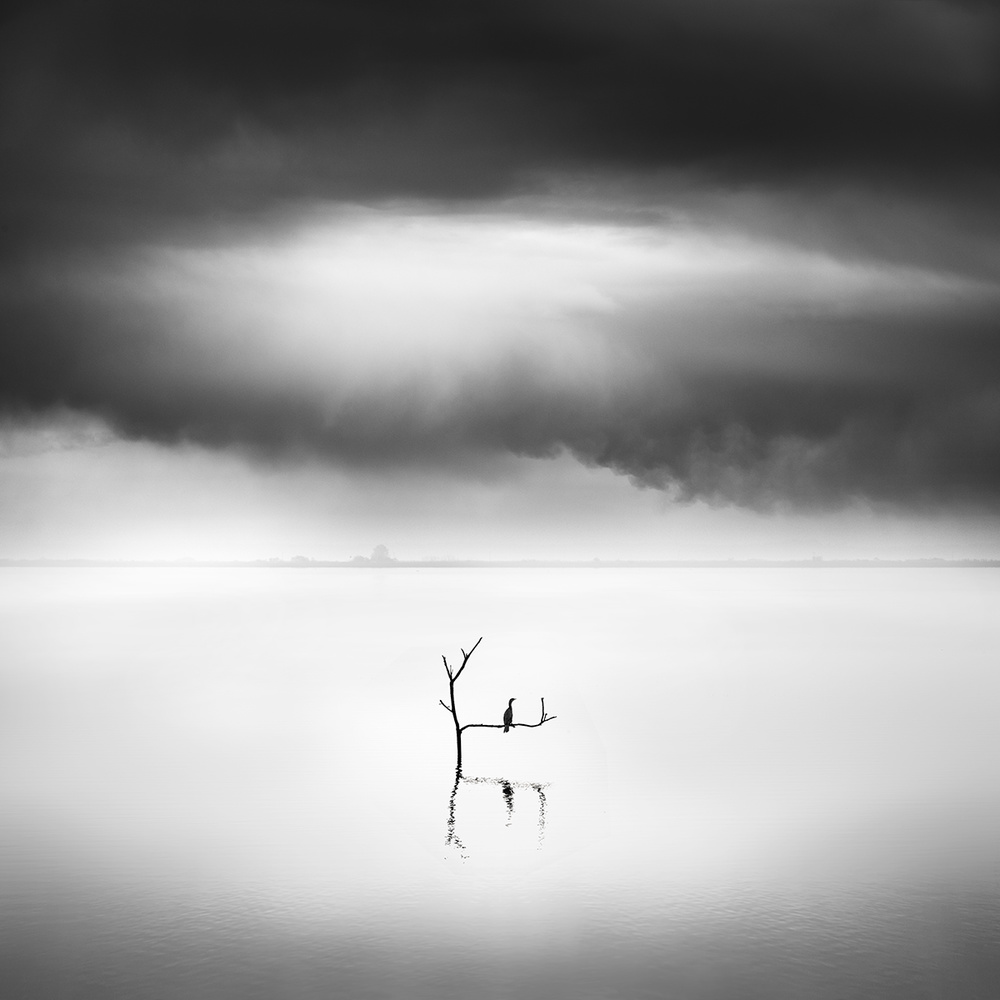 Waiting for the Summer od George Digalakis