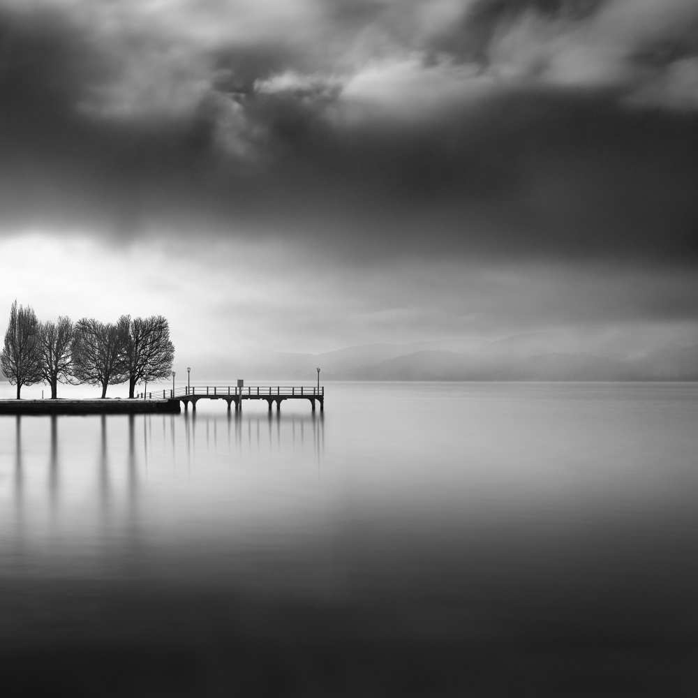 Lake view with trees od George Digalakis