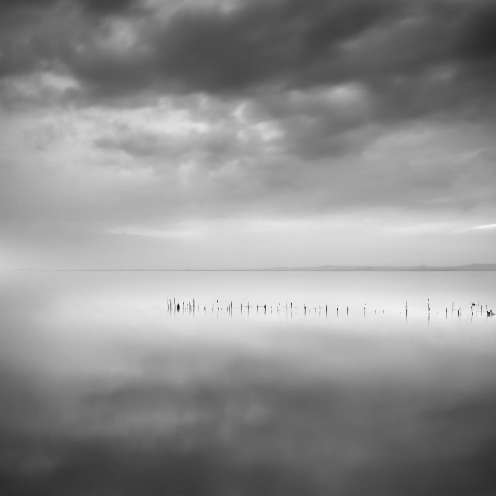 Sixty shades of gray od George Digalakis