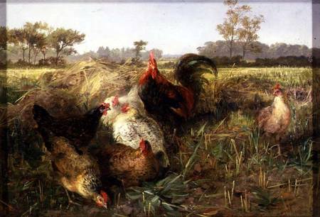 Fowls in the Stubble od George Hickin