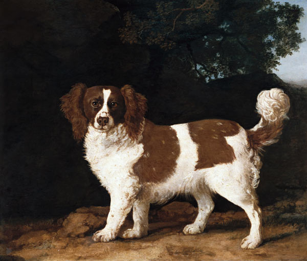 Fanny, the Favourite Spaniel of Mrs. Musters, Standing in a Wooded Landscape od George Stubbs