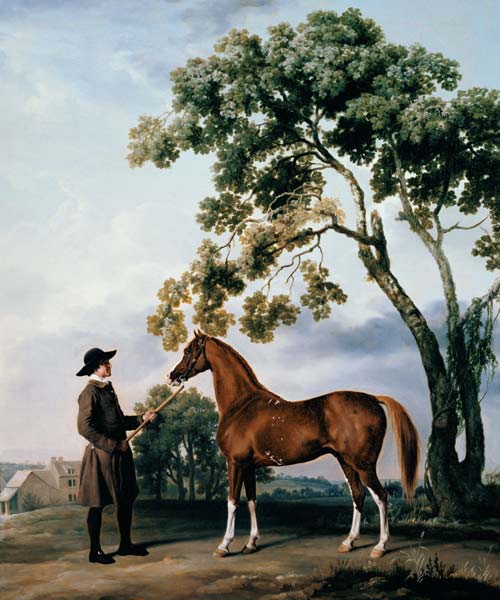Pferdepfleger with the arab horse Lord Grosvenor od George Stubbs