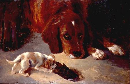 An Inquisitive Puppy (board) od George W. Horlor