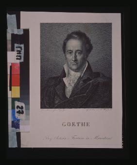 Portrait of the author Johann Wolfgang von Goethe (1749-1832)