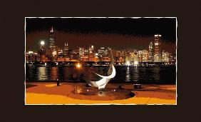 Chicago Skyline Nacht