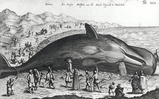 Dead whale od German School